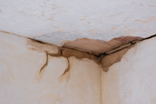 Best Water damage cleanup near me  in Anderson Island, WA