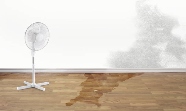 Best Commercial water damage restoration  in Anderson Island, WA