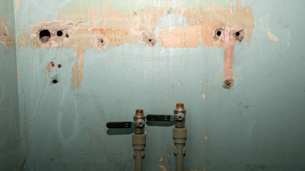 Best Carpet water damage restoration  in Anderson Island, WA