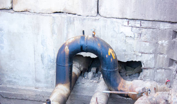 Best Professional water damage repair  in Anderson Island, WA