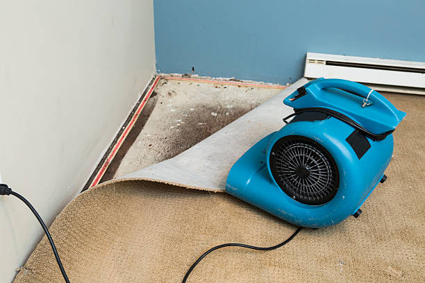 Best Local water damage restoration  in Anderson Island, WA